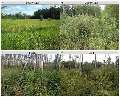 Assessing Ecological Recovery of Reclaimed Well Sites: A Case Study From Alberta, Canada